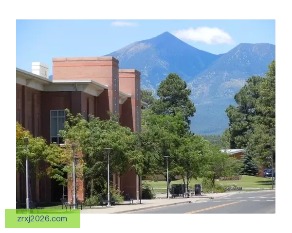 阿代-玛拉大爆发助密歇根大学大胜亚利桑那大学